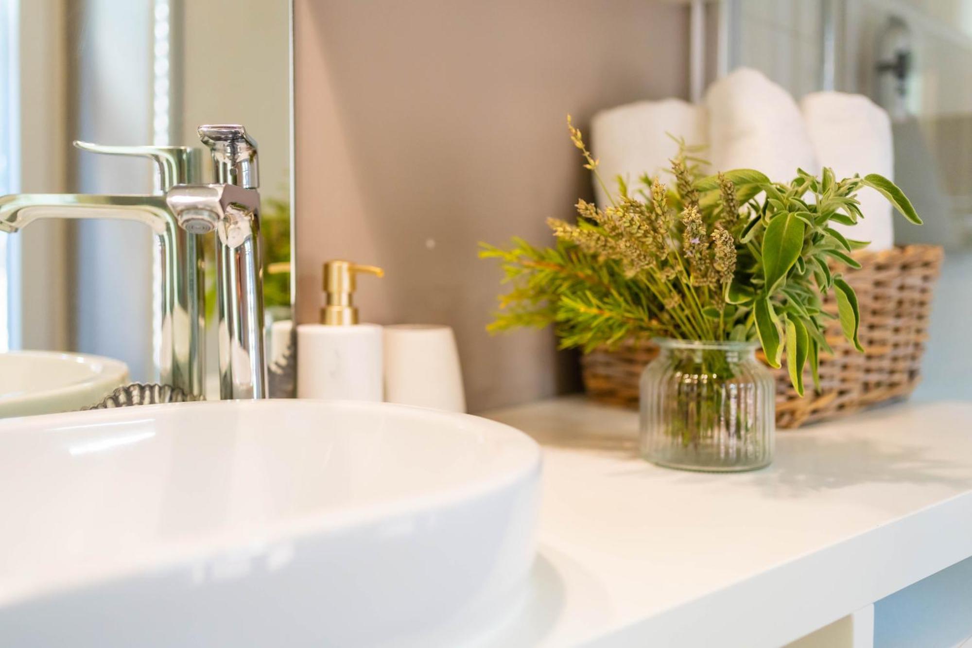 Apartment Mediterraneo ロヴィニ エクステリア 写真
